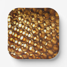 Honeycomb Papper Plate, biodling party