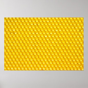 Honeycomb Poster