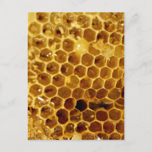 Honeycomb Vykort