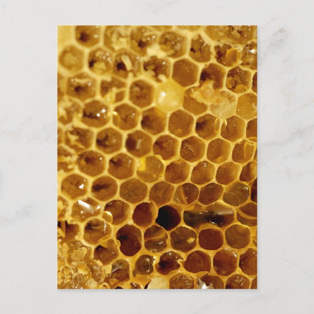 Honeycomb Vykort (Framsida)