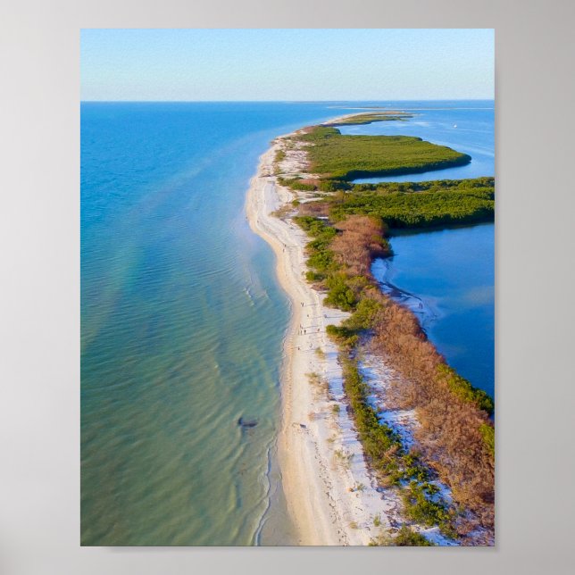 Honeymoon Island, Florida Poster (Framsidan)