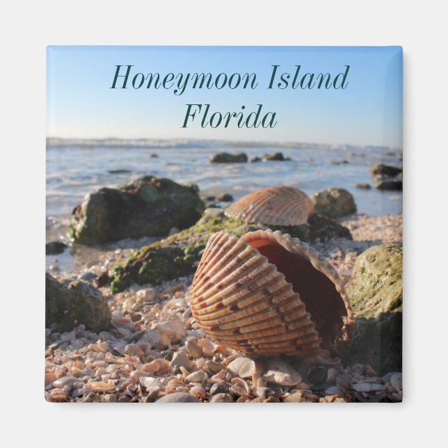 Honeymoon Island Florida Romantic Seashells magnet (Framsidan)