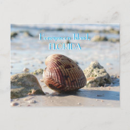 Honeymoon Island, Florida-strandsäsongsbundet Vykort