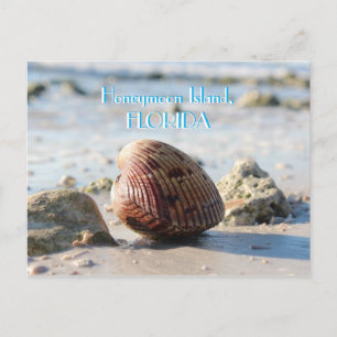 Honeymoon Island, Florida-strandsäsongsbundet Vykort