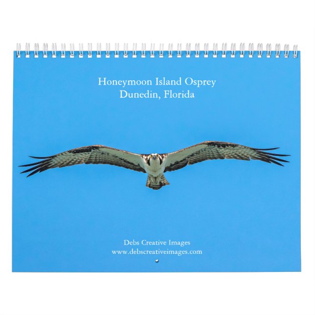 Honeymoon Island Osprey 2026 Kalender (Omslag)