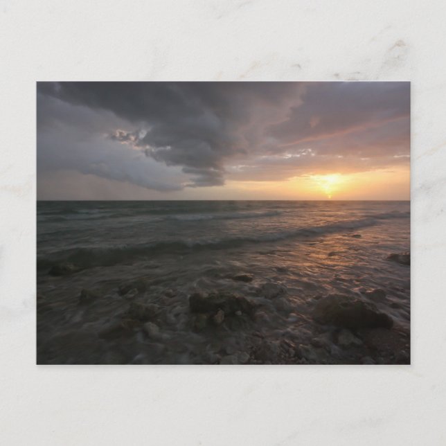 Honeymoon Island stormy sunset Vykort (Framsida)