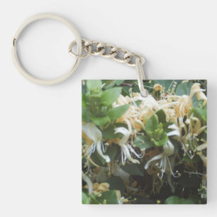 Honeysuckle