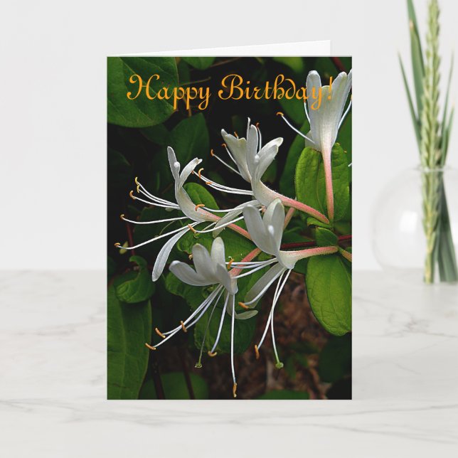 Honeysuckle Birthday Card Kort (Framsida)