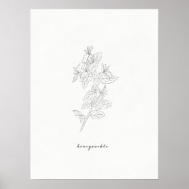 Honeysuckle Birtud Skriv ut Poster
