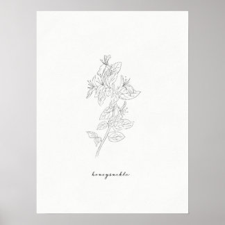 Honeysuckle Birtud Skriv ut Poster