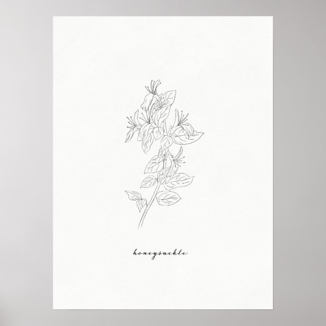 Honeysuckle Birtud Skriv ut Poster (Framsidan)