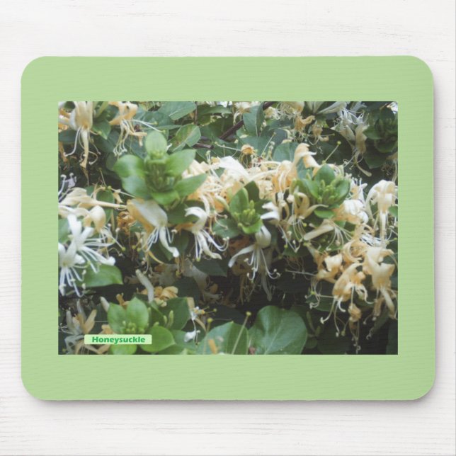 Honeysuckle Blooms Musmatta (Framsidan)