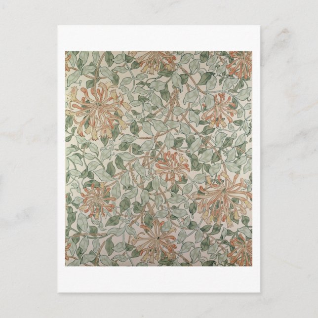 'Honeysuckle II'-design Vykort (Framsida)