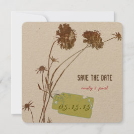 Honeysuckle Rosa Flower Botanical Spara datum Datumet