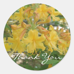 Honeysuckle Tack Stickers Runt Klistermärke