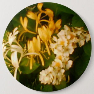 Honeysuckle Vild Blommigt Knapp