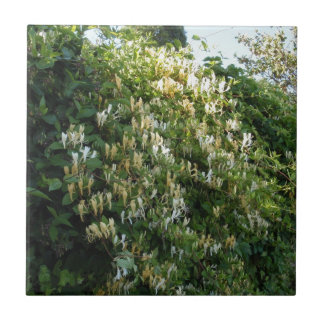 Honeysug på en vägg kakelplatta