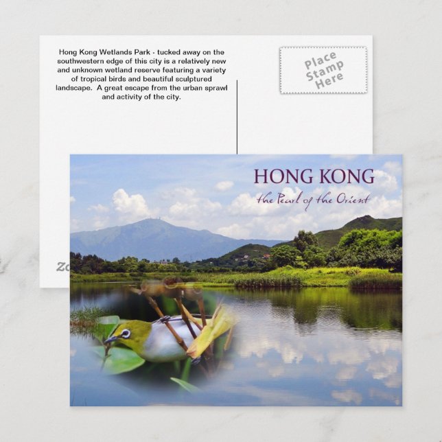 Hong Kong Wetlands Park Resepostkort Vykort (Fram/baksida)