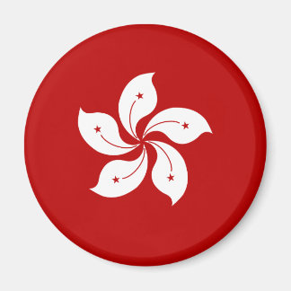 Hongkong-Flagga av hög kvalitet Magnet