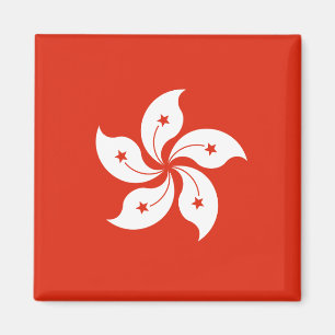 Hongkongs flagga Magnet