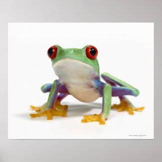 Hongroda 2 poster