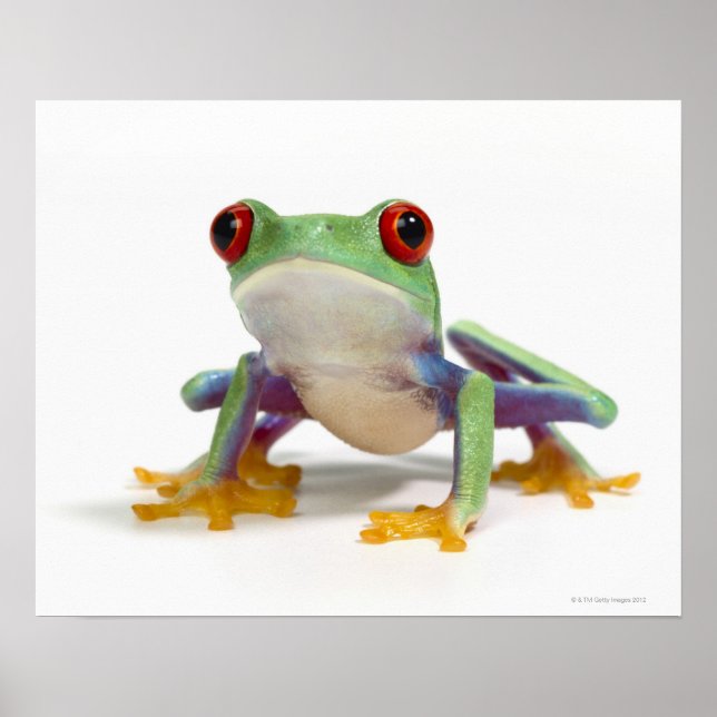 Hongroda 2 poster (Framsidan)