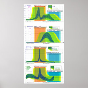 Honhormonintervall under menstruationscykeln poster