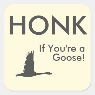 HONK Om du är en Goose-funny som säger Fyrkantigt Klistermärke