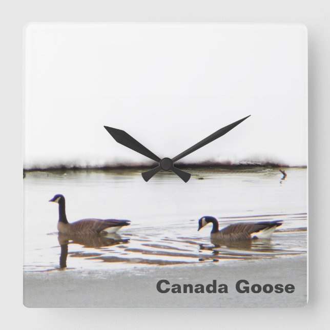 Honkers - Kanada Geese Fyrkantig Klocka (Framsida)