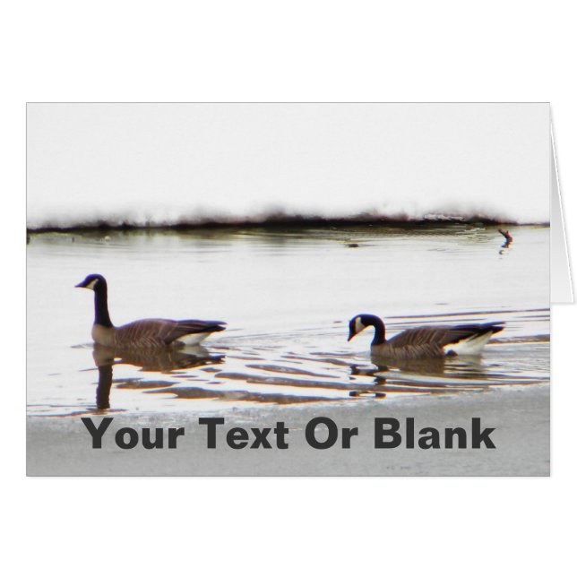Honkers - Kanada Geese Hälsningskort (Framsidan Horizontal)