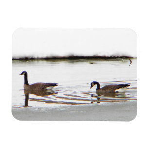 Honkers - Kanada Geese Magnet