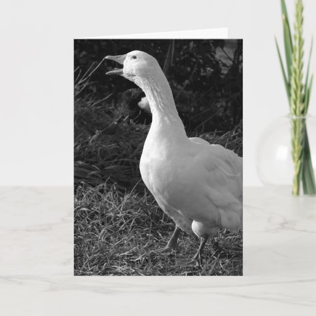 Honking Sebbie Kort (Framsida)