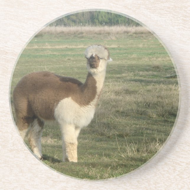 Honlig alpaca underlägg (Framsidan)