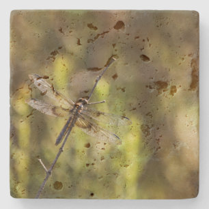 Honlig änka Skimmer Dragonfly Stenunderlägg