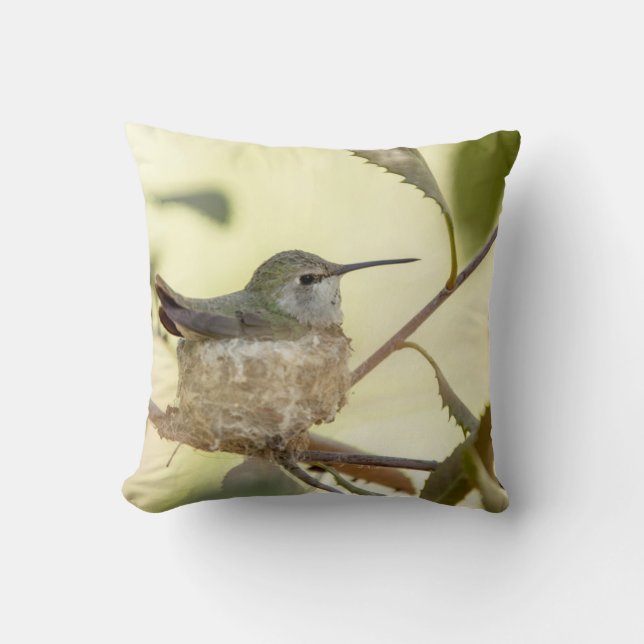 Honlig hummingbird på hennes bo kudde (Framsida)
