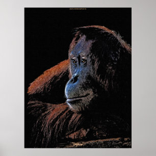 Honlig Orangutan Underbar Ape Wildlife Art Poster