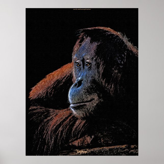 Honlig Orangutan Underbar Ape Wildlife Art Poster (Framsidan)