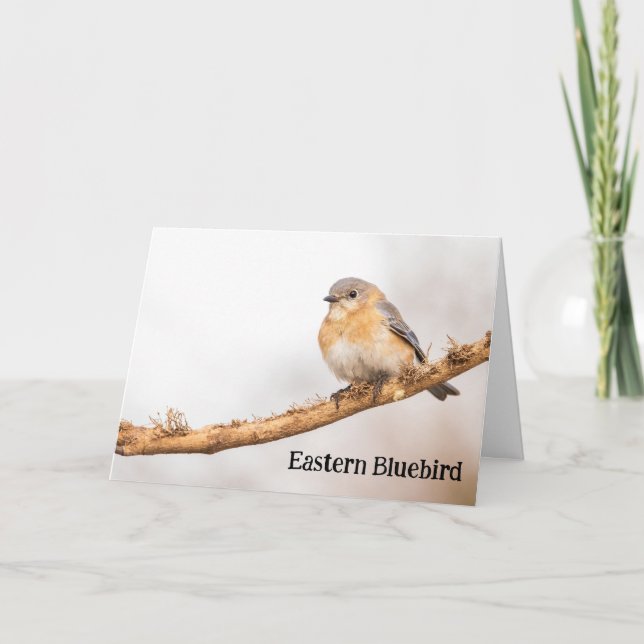 Honlig Östra Bluebird Tack Kort (Framsida)