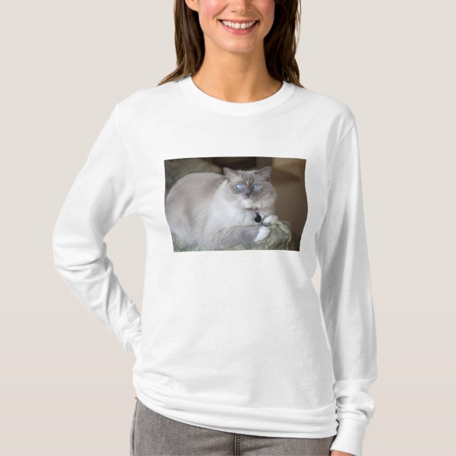 Honlig Ragdoll Katt T-shirt (Framsida)