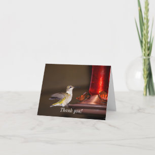 Honlig Ruby-throated Hummingbird Tack Kort