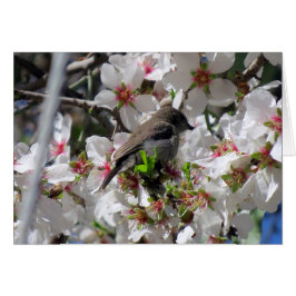 Honlig solfågelhaltig nektar hälsningskort