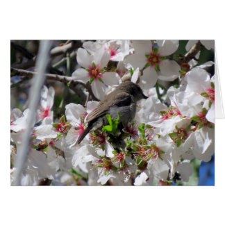 Honlig solfågelhaltig nektar hälsningskort