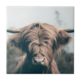 Hönolja porträtt kakelplatta