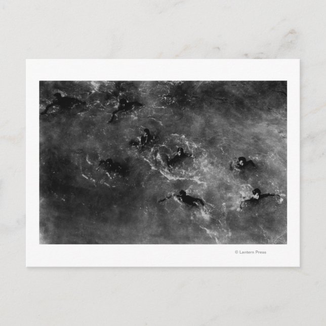 Honolulu, HA - Dyving Boys Near Honolulu Harbour Vykort (Framsida)