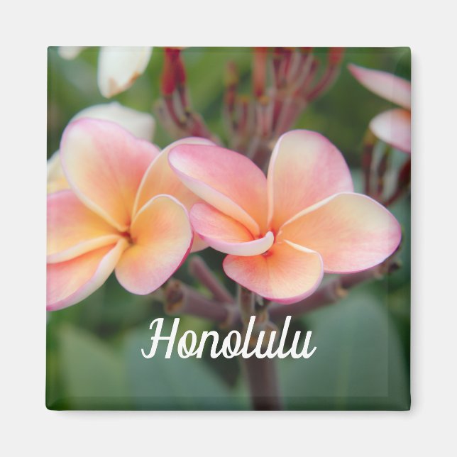 Honolulu Plumeria Magnet (Framsidan)