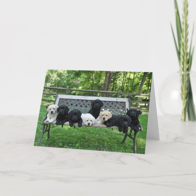 Honor Litter Bench Photo Kort (Framsida)