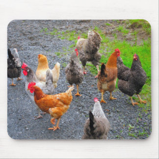 Hönor Mousepad Musmatta