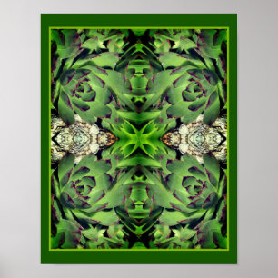 Hönor och Chickar Garden Succulent Spegel Abstrakt Poster