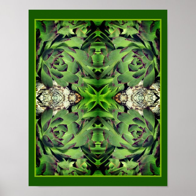 Hönor och Chickar Garden Succulent Spegel Abstrakt Poster (Framsidan)