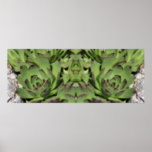 Hönor och Chickar Garden Succulents Spegel Abstrak Poster